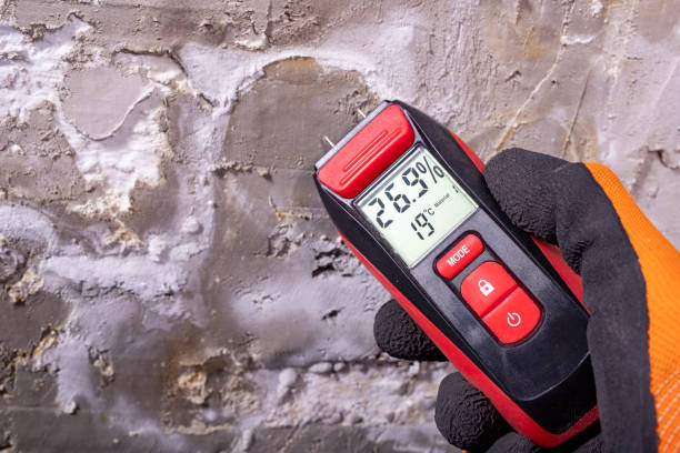 Best Local Mold Removal Service  in Stockbridge, GA