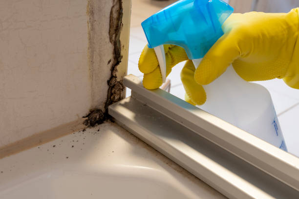 Best Mold Removal Process  in Stockbridge, GA