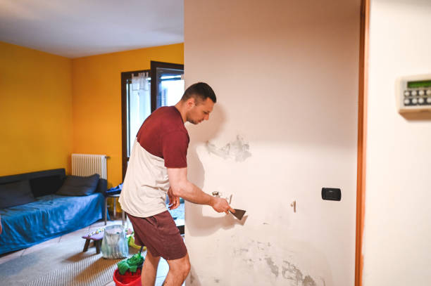 Best Home Mold Removal  in Stockbridge, GA
