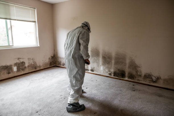 Best Residential Mold Removal  in Stockbridge, GA
