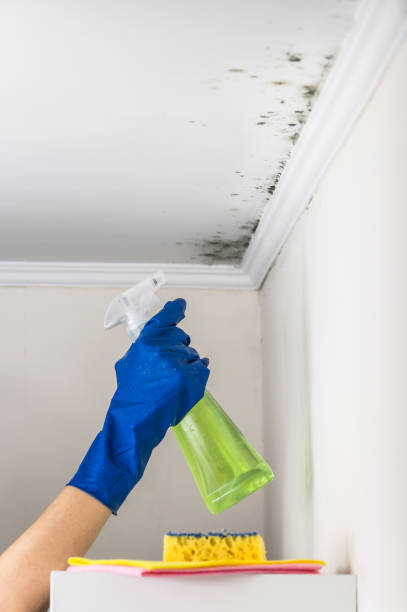 Water Damage Restoration in Stockbridge, GA